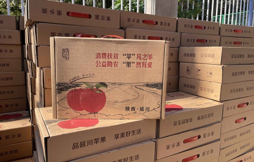 500万网彩票“扶贫助农，振兴乡村”活动